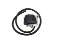 20200305_095153GOTO.jpg