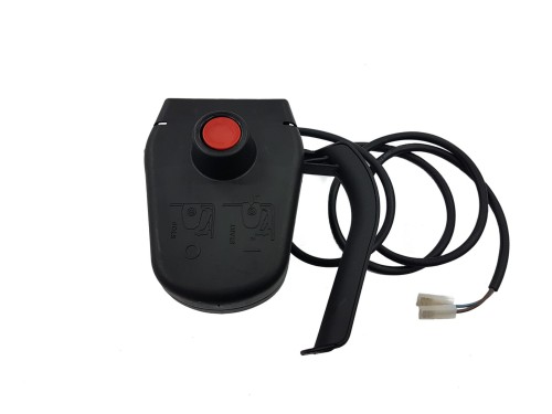 WLACZNIK 10 BIALE GOTO2.jpg